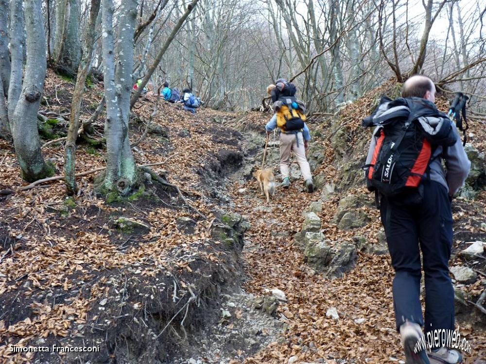 15 Ci inoltriamo ancora nel bosco.JPG